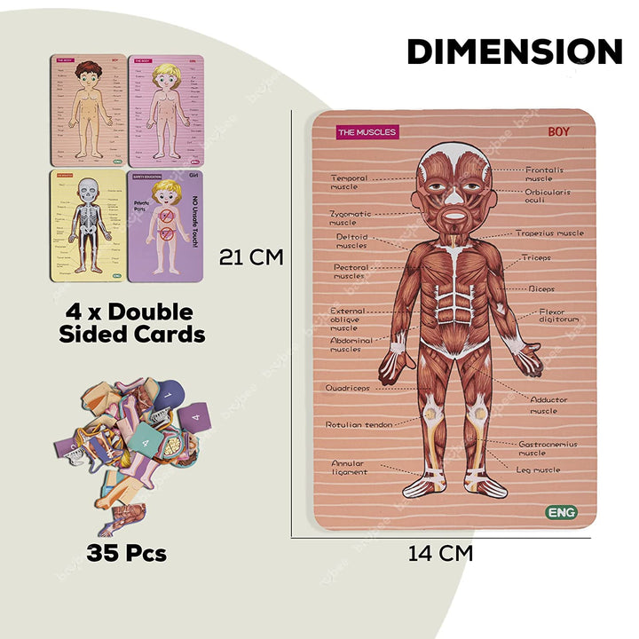 Wooden Human Body Parts Structure Jigsaw Puzzle Set for Kids Toys | Parts of Body Organs Muscles Safety Education Puzzle Cards | Early Learning Human Body Structure Puzzle for Kids 6+Years